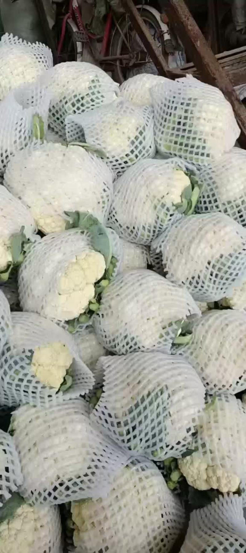 天门花菜