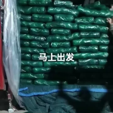 陕西甘蓝大量上市需要的朋友可以联系