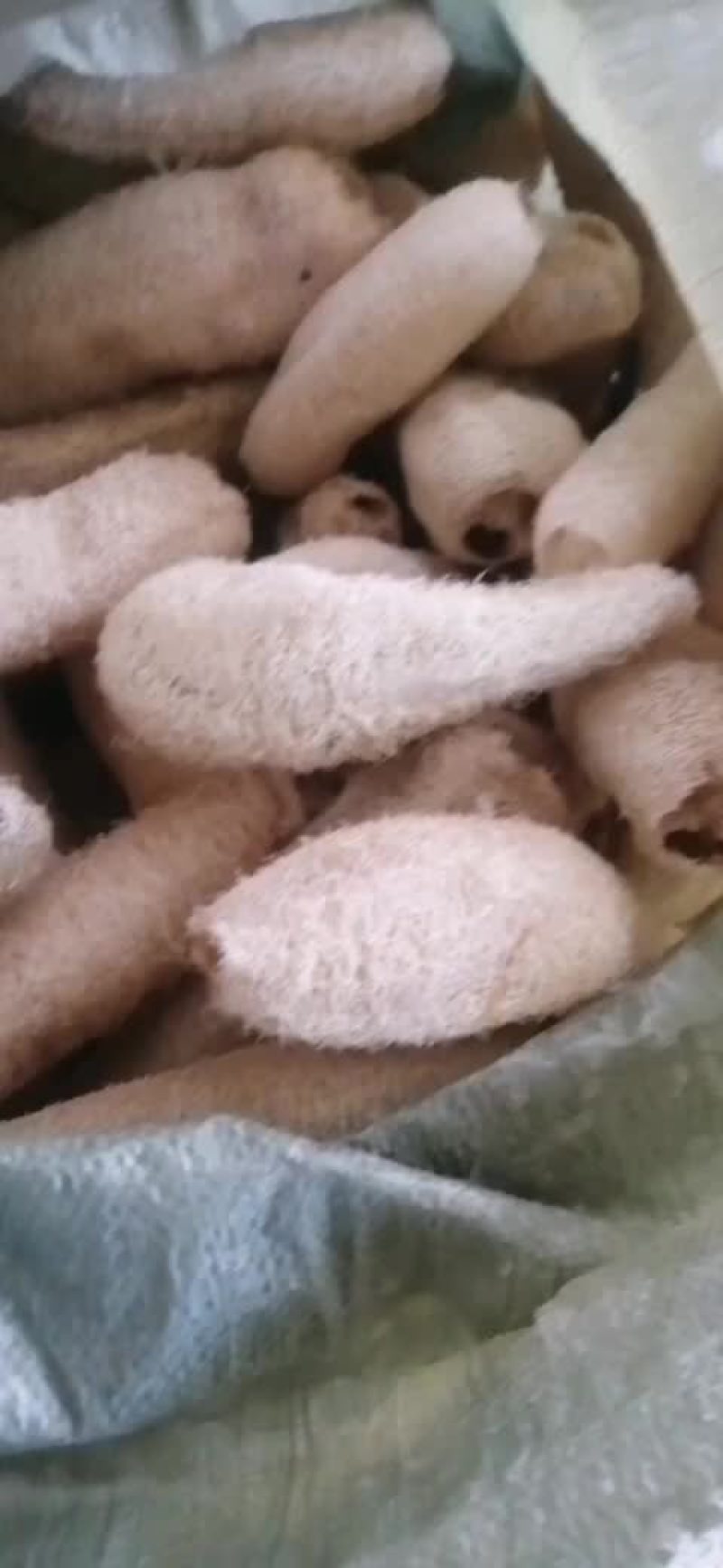 淸仓处理货100元