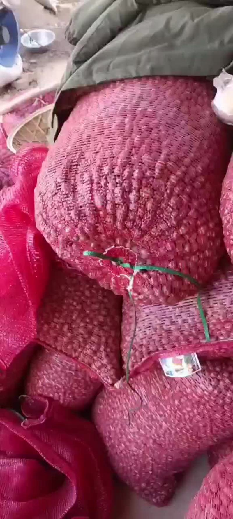 白玉山药豆