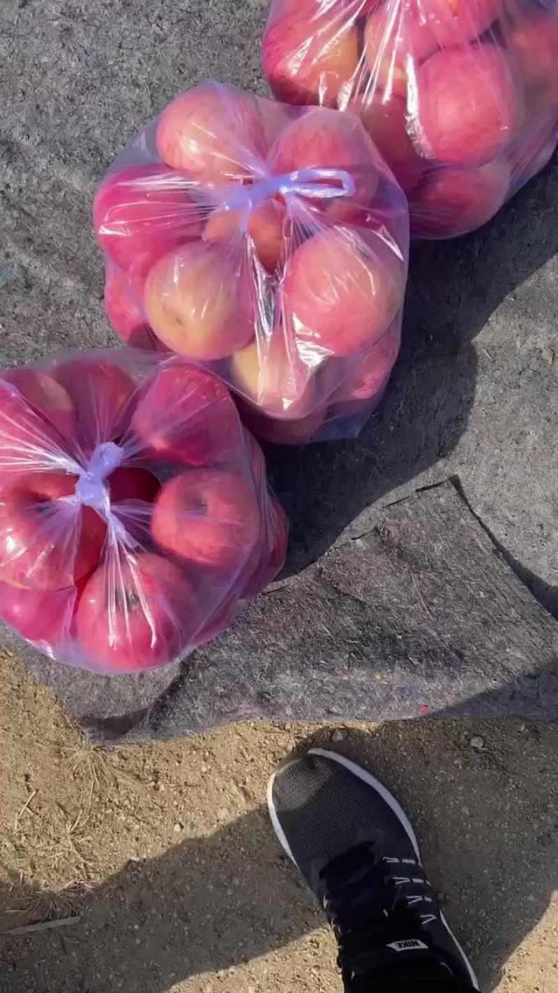 寒富一元