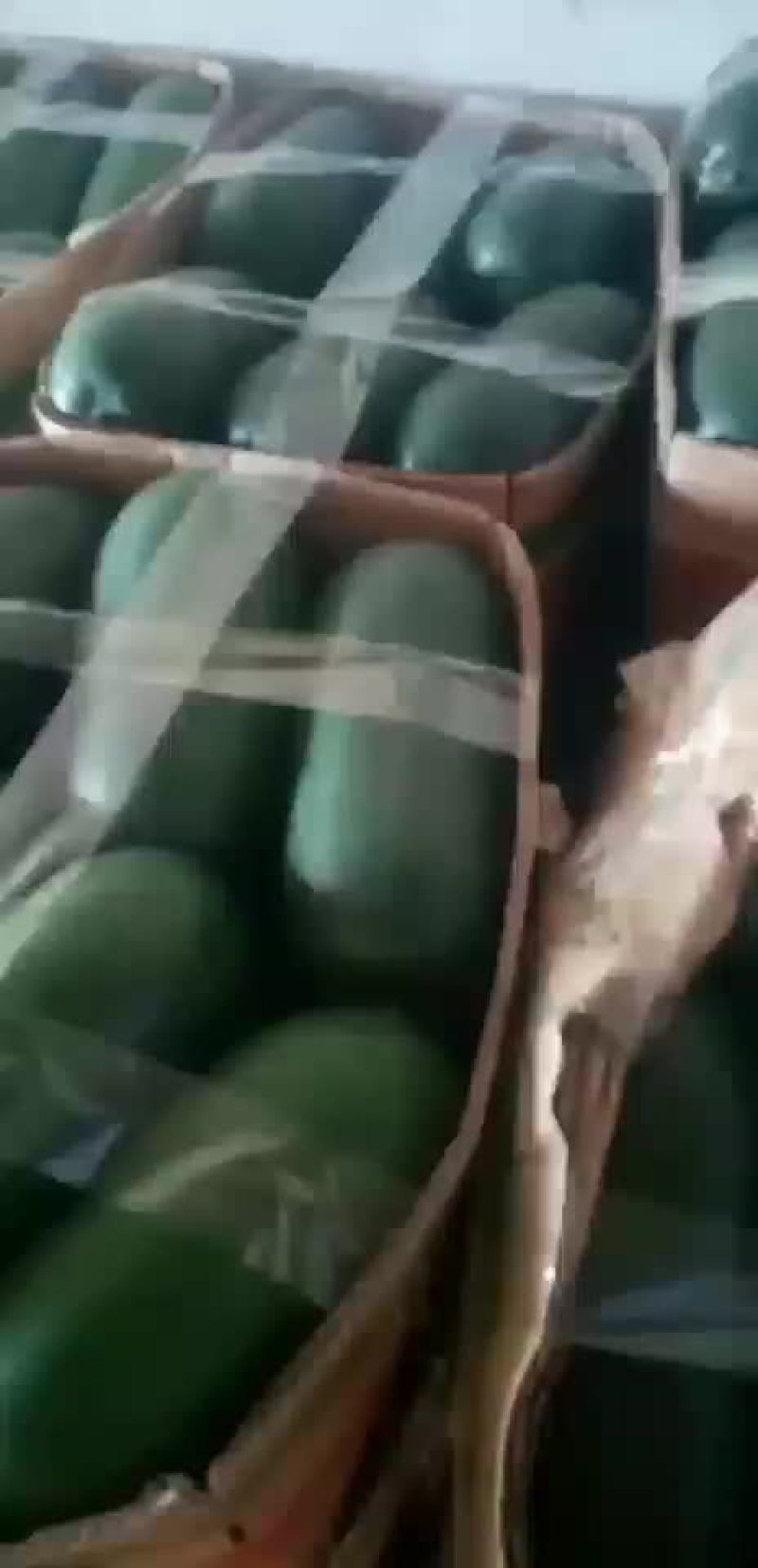 蔬菜，水果