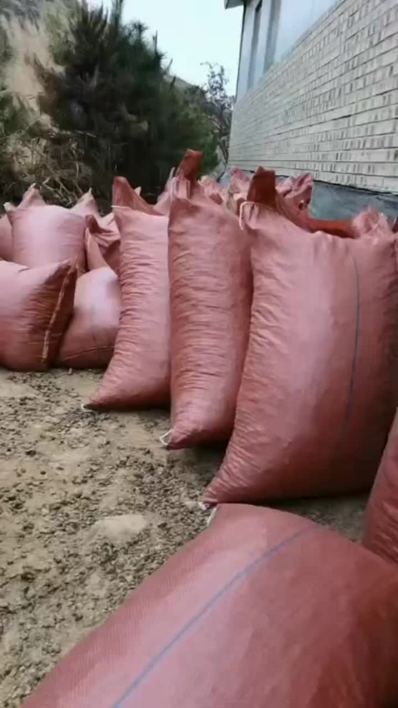 羊粪