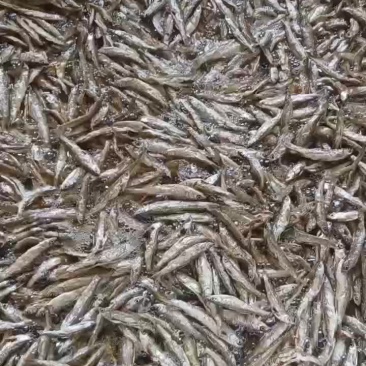 油炸小白条