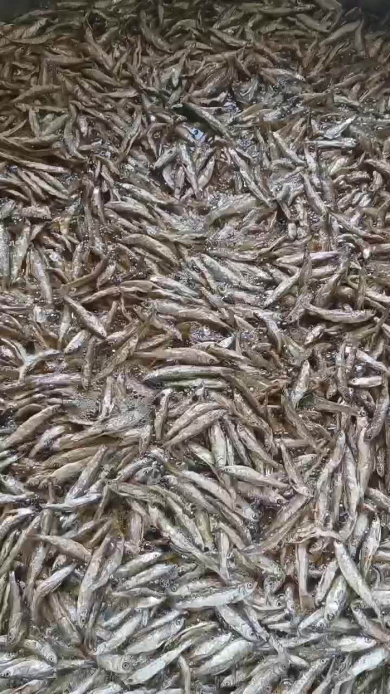 油炸小白条