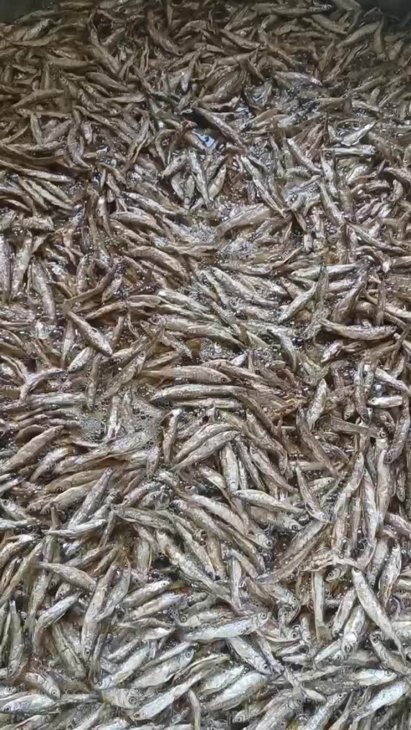 油炸小白条
