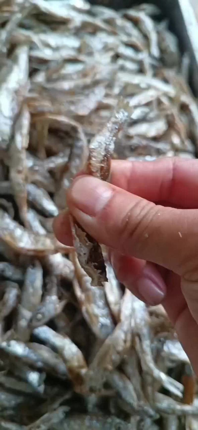 油炸小白条