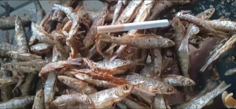 油炸小白条