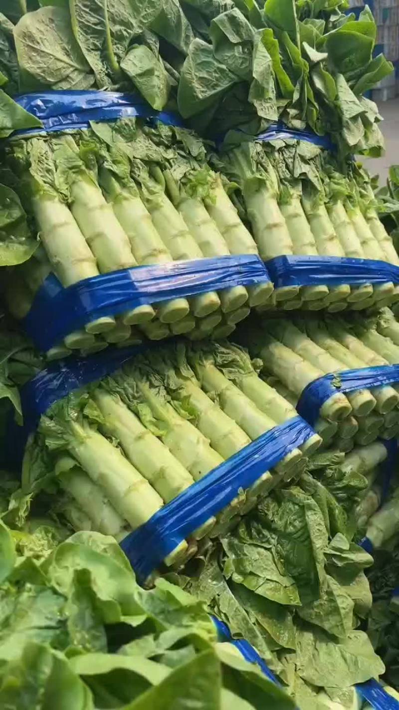 山东三青莴笋大量供应，对接电商，各大批发市场。超市