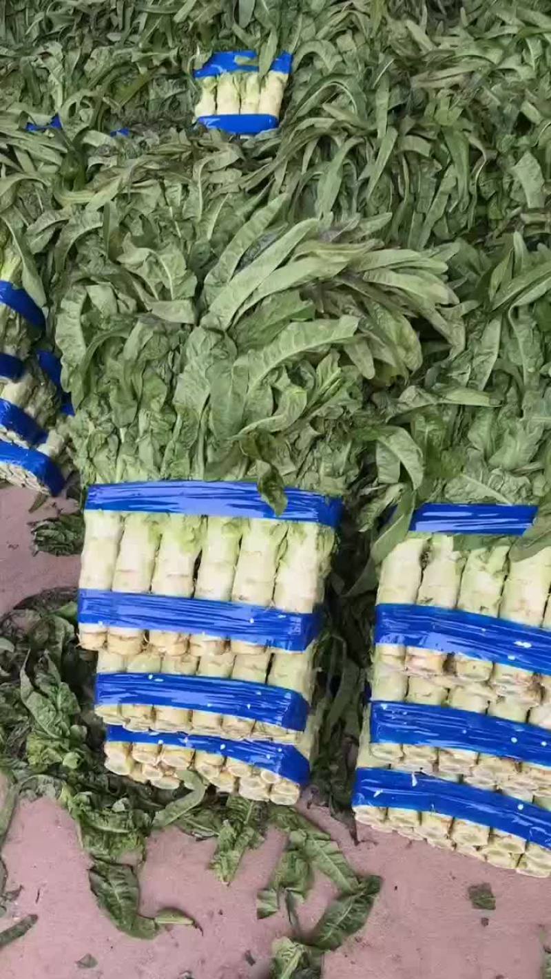 山东三青莴笋大量供应，对接电商，各大批发市场。超市