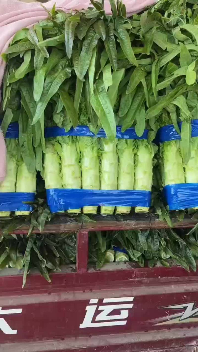 山东三青莴笋大量供应，对接电商，各大批发市场。超市
