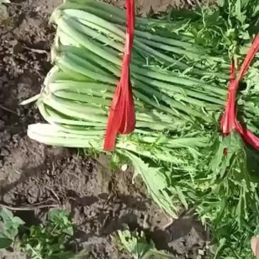 精品