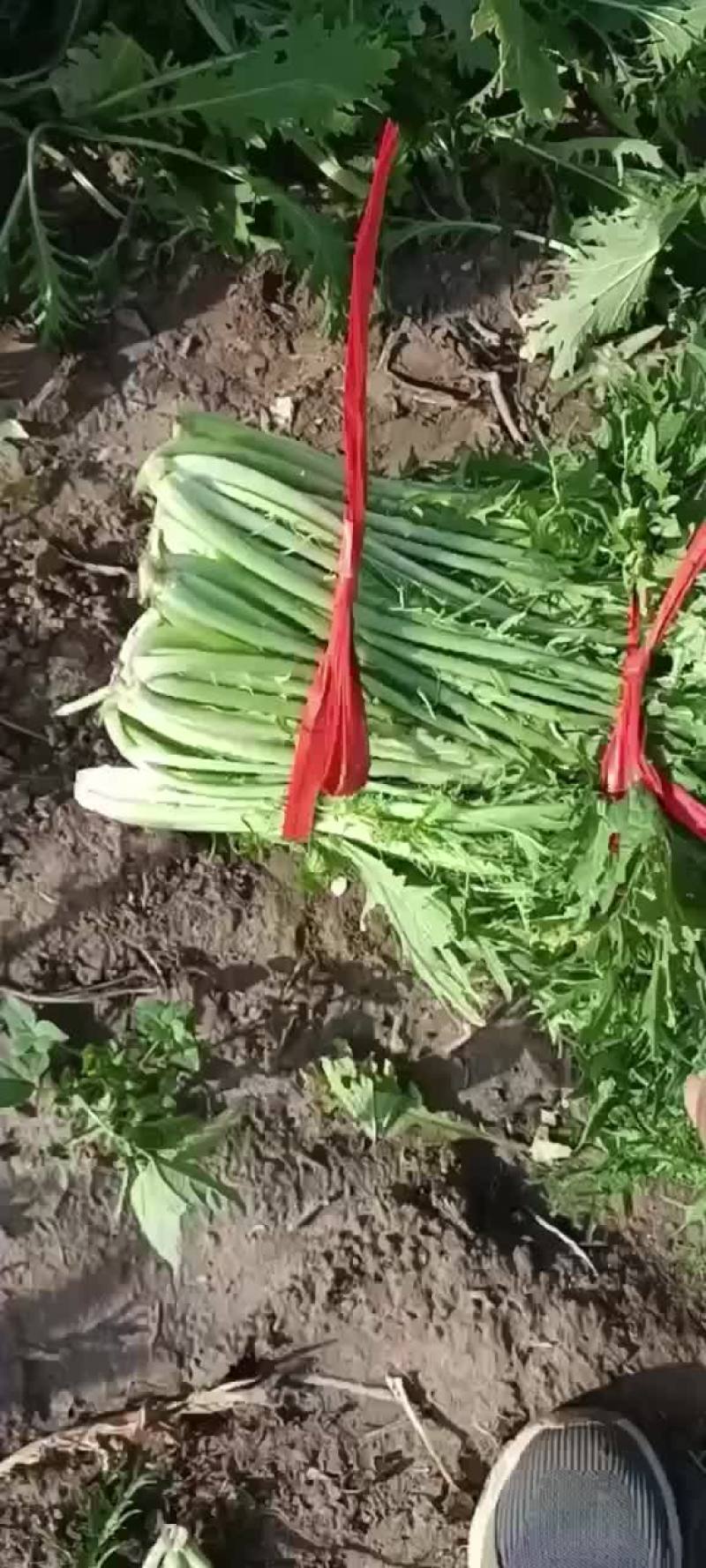 精品
