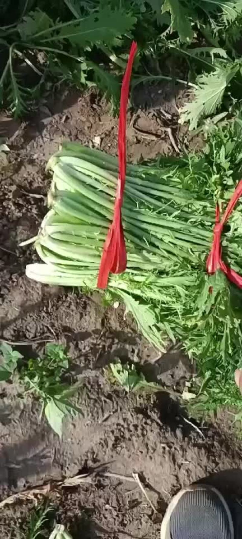 精品