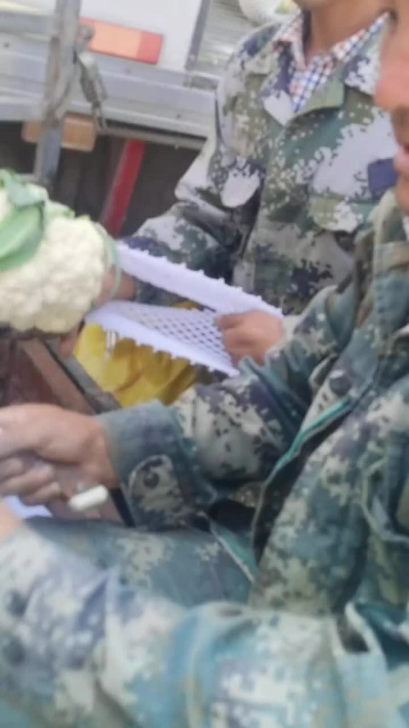 兰州精品散花，根小，花白