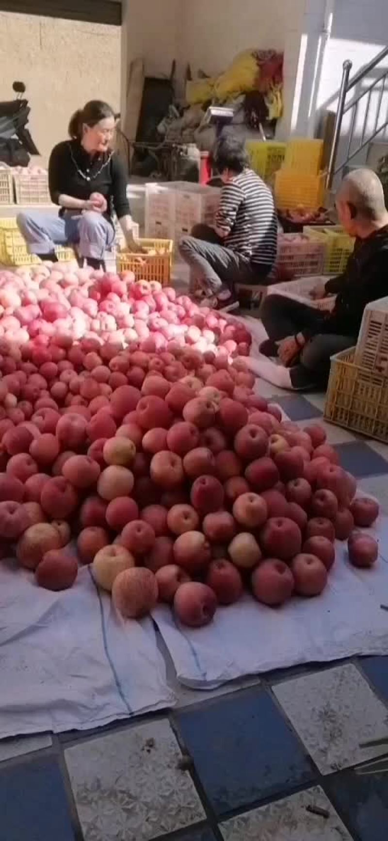 红富士