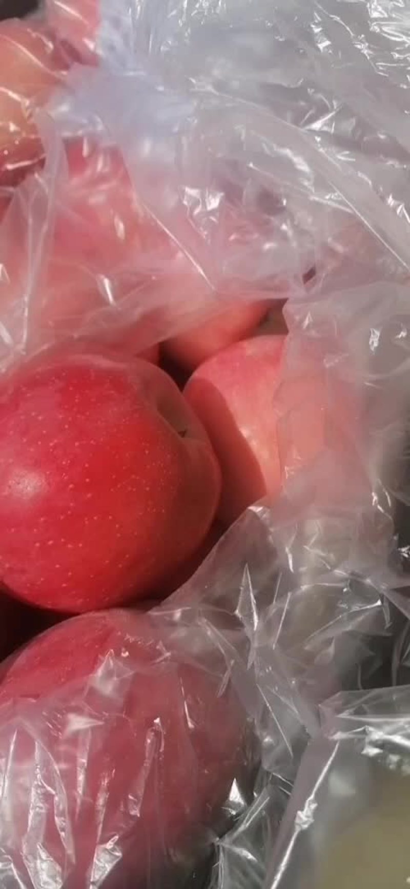 红富士