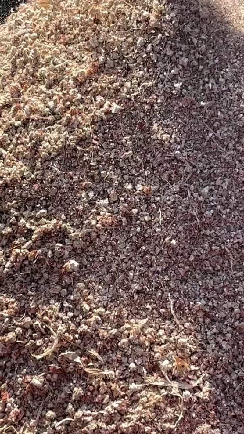 玉米芯10000吨