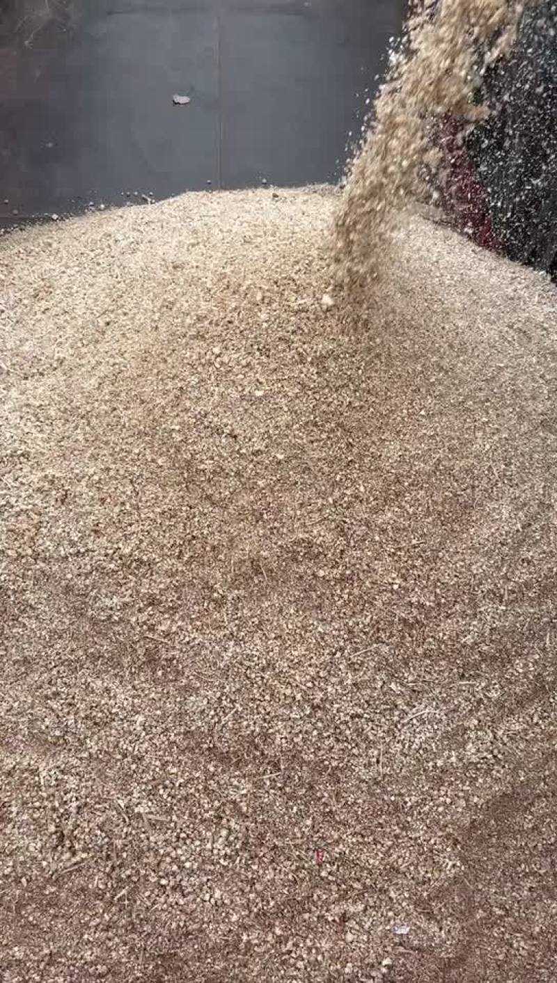 玉米芯10000吨