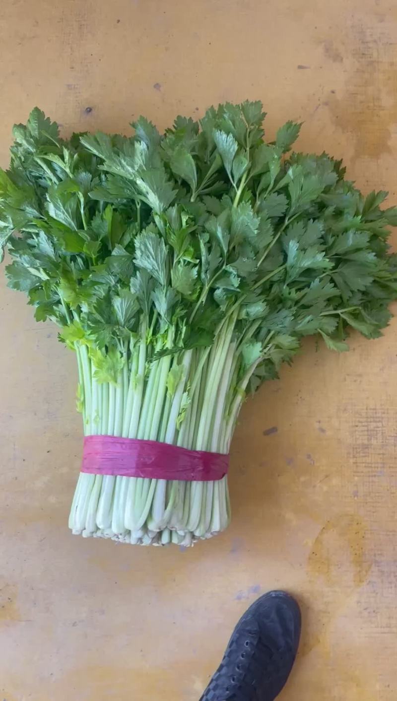 毛芹上市