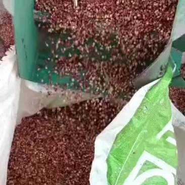 新高粱壳无土无霉填充食料