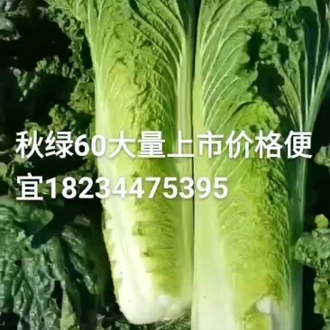 大量供应