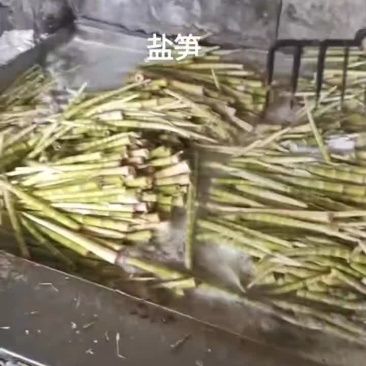 盐笋