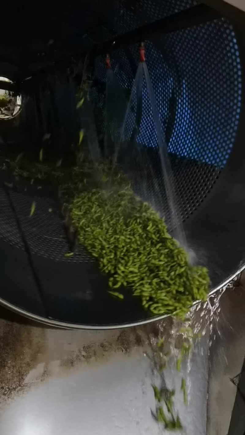 毛豆福建基地种植，一手货源，期待更多老板合作，协同共赢，