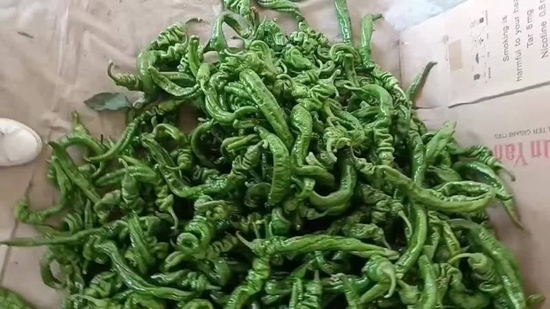 精品辣椒螺丝椒品质好有保障，诚信经