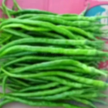二荆条