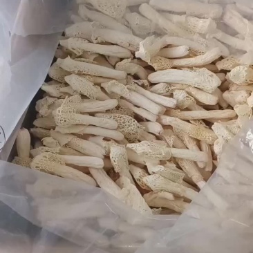 贵州红托无硫干竹荪