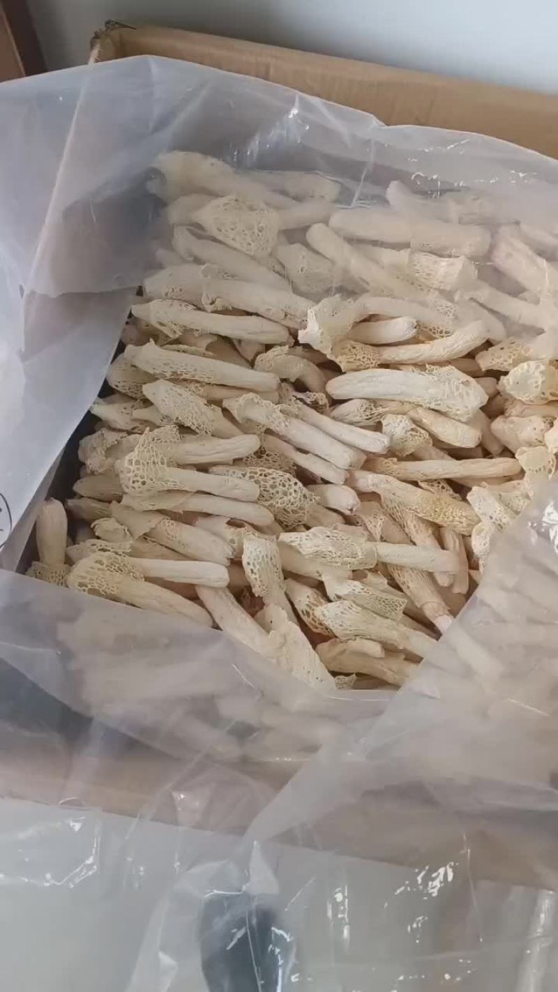 贵州红托无硫干竹荪