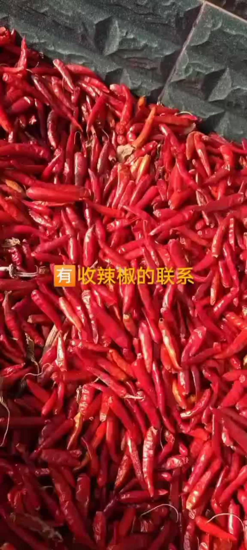有需要的老板联系我！品种有辣椒王和红辣八号