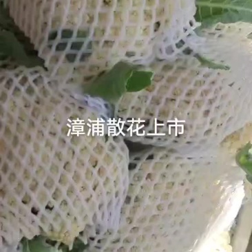 青梗花菜