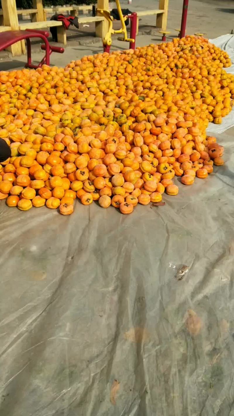 物美价廉！欢迎致电