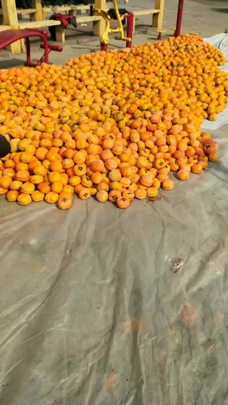 物美价廉！欢迎致电