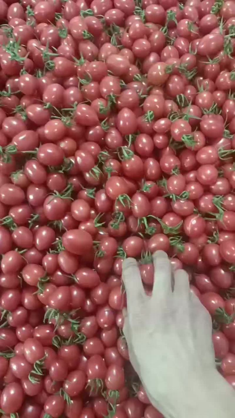 寿光精品千喜