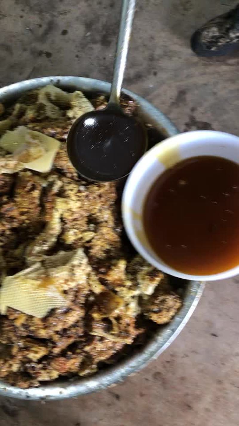 蜂厂直供，过滤蜂蜜，中华蜂，一月量产5吨左右，有需要联系