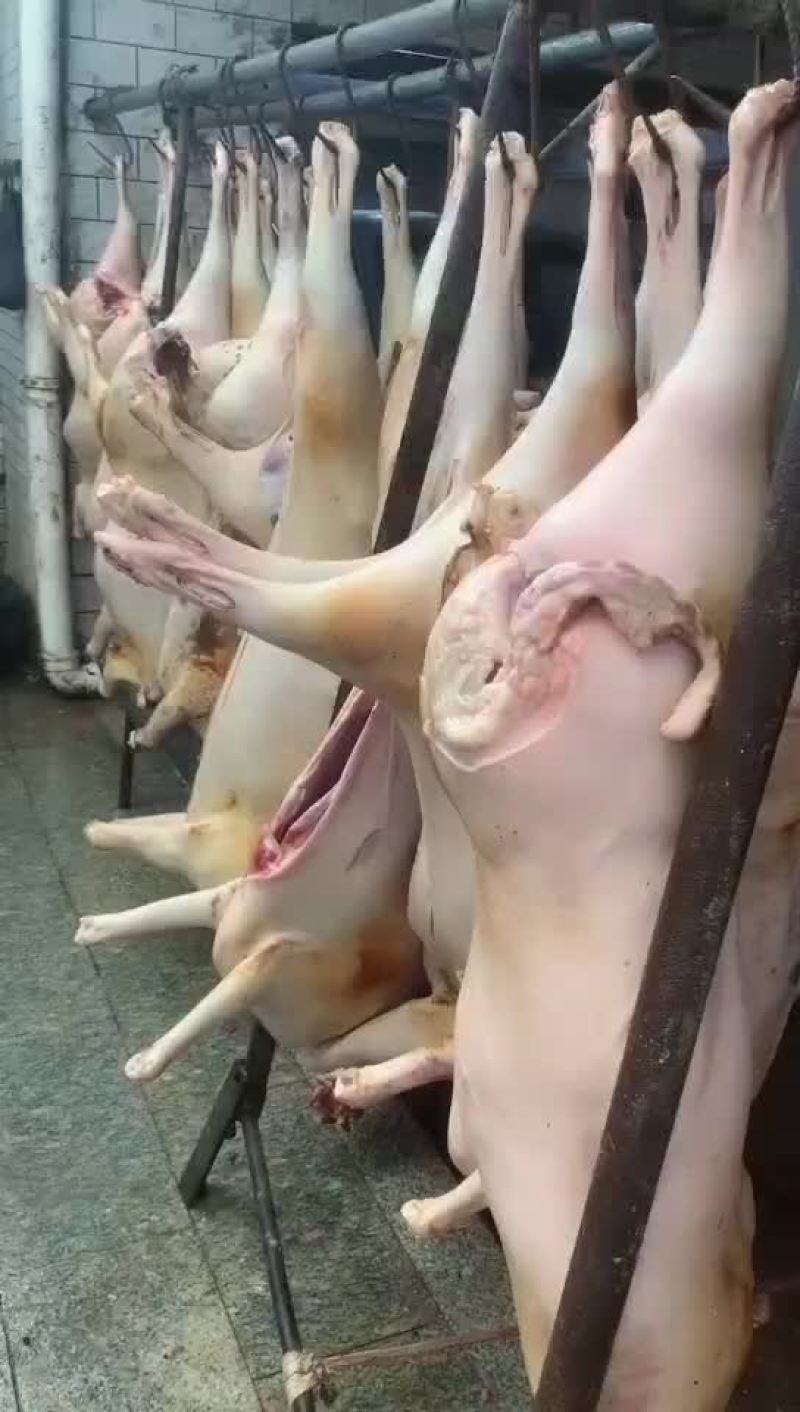 带皮羊肉
