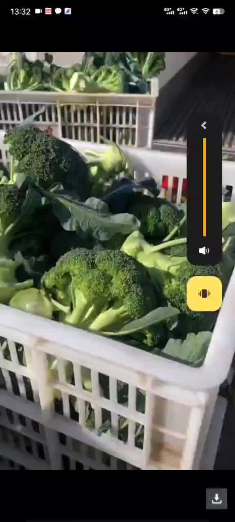 精品西兰花，根据客户要求提供各类包装
