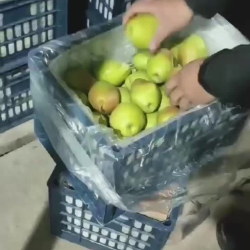 红香酥