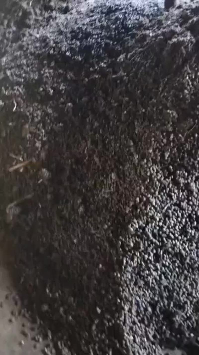 羊粪