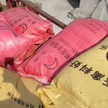 羊粪