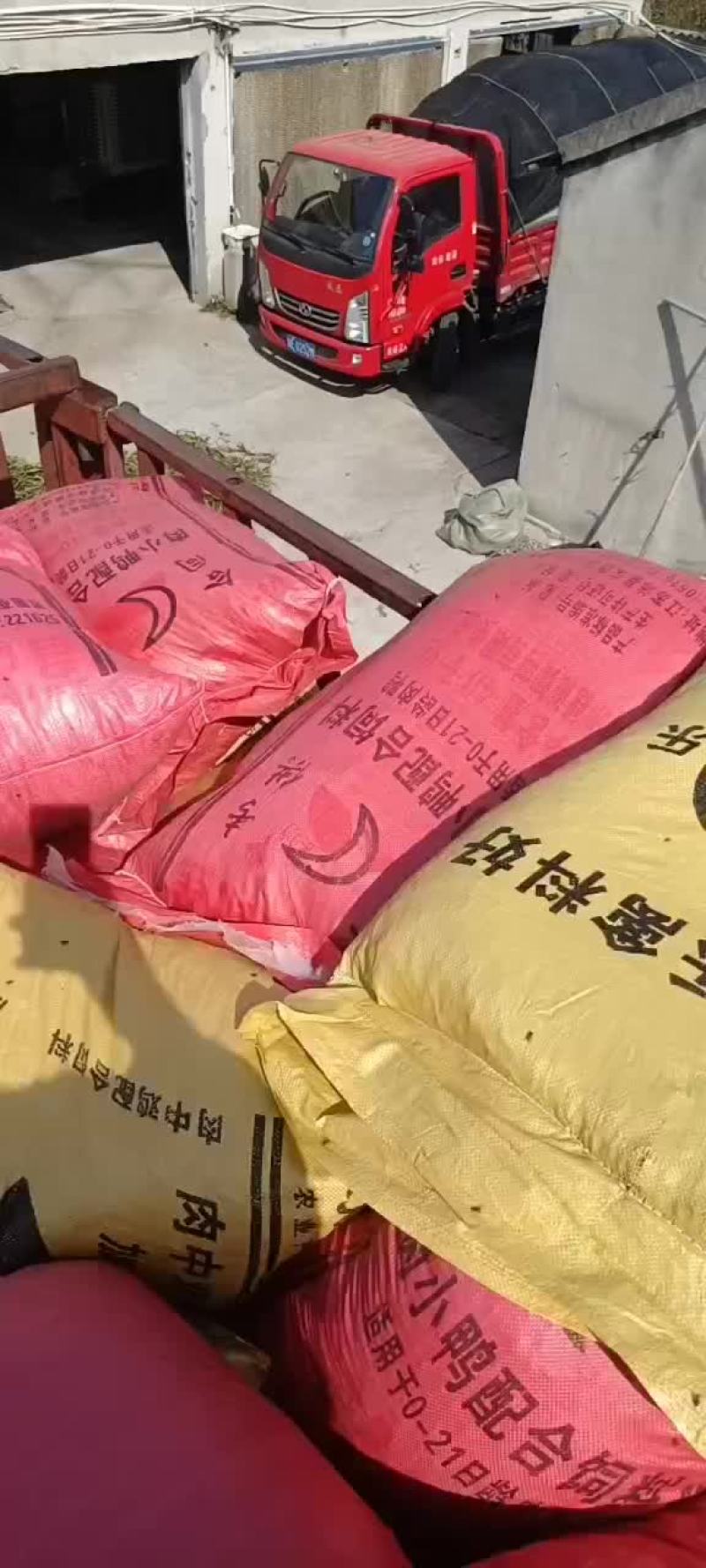 羊粪