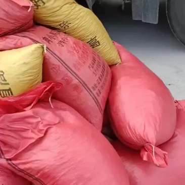 羊粪
