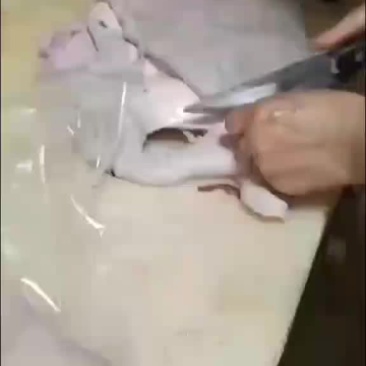 精修驴皮