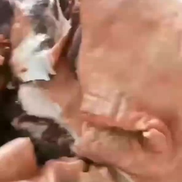 带皮驴肉，去皮驴肉大量现货