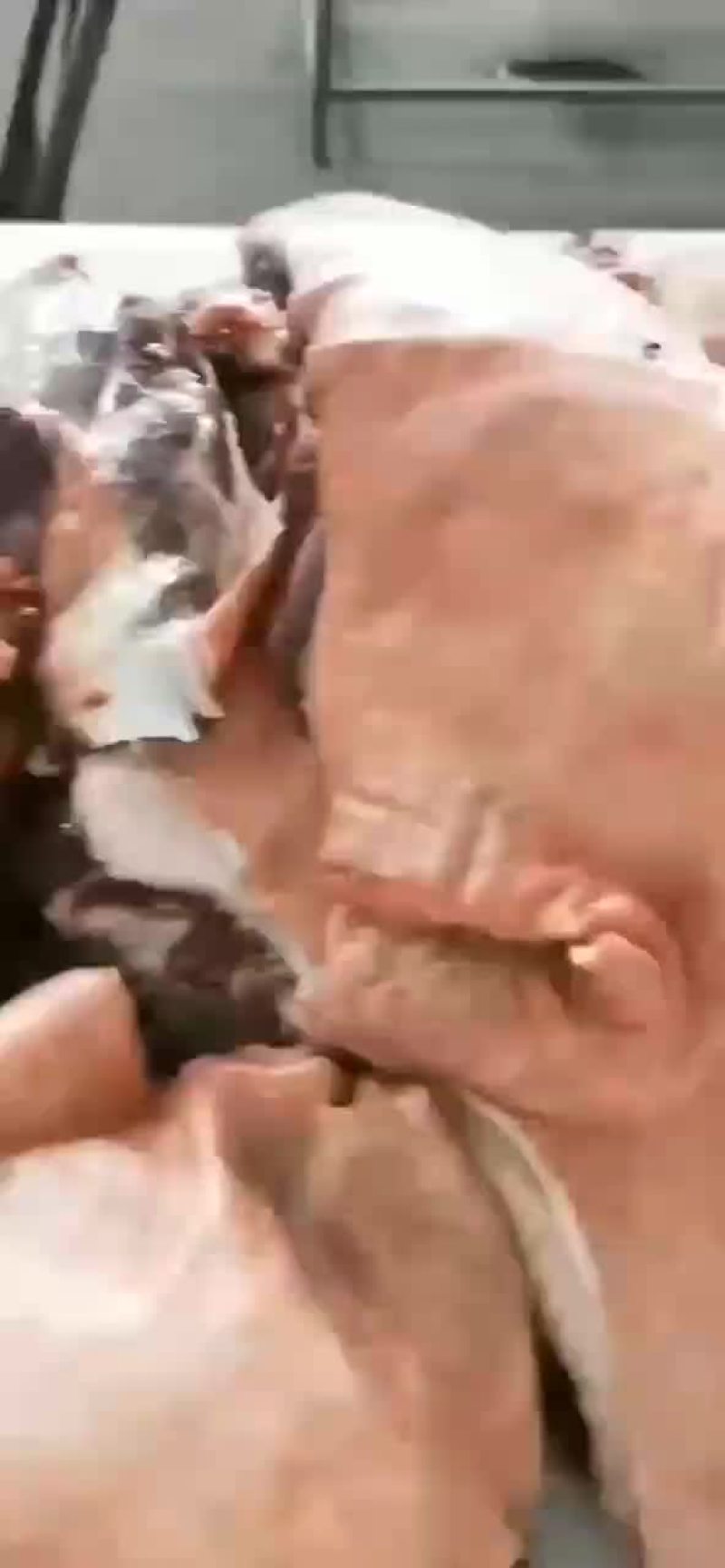 带皮驴肉，去皮驴肉大量现货