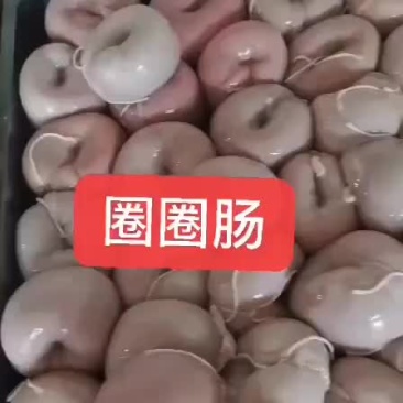 羊圈圈肠