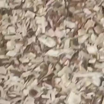 食用菌木屑